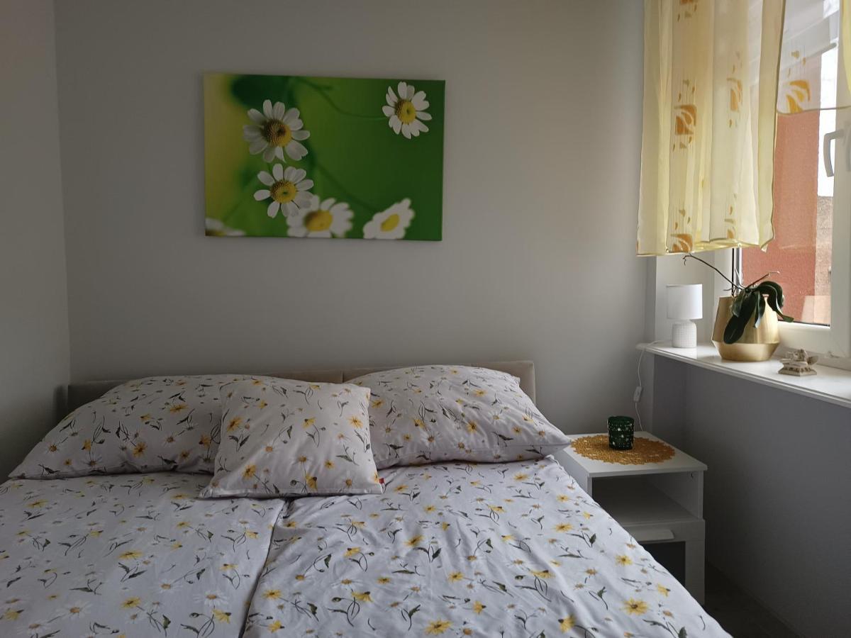 Szmaragdowy Apartament Przy Ulicy Opolskiej Tarnowskie Góry Eksteriør bilde
