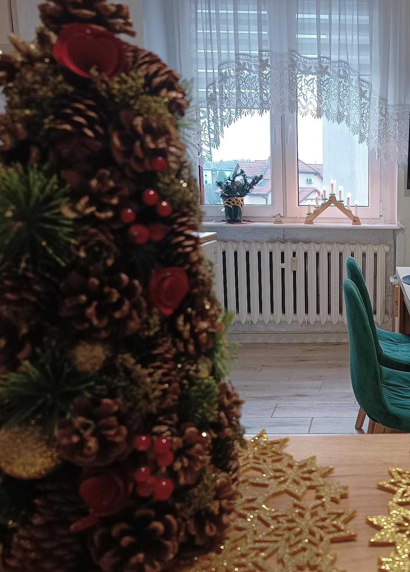 Szmaragdowy Apartament Przy Ulicy Opolskiej Tarnowskie Góry Eksteriør bilde